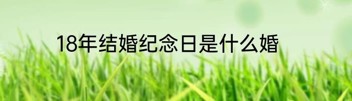 18年结婚纪念日是什么婚