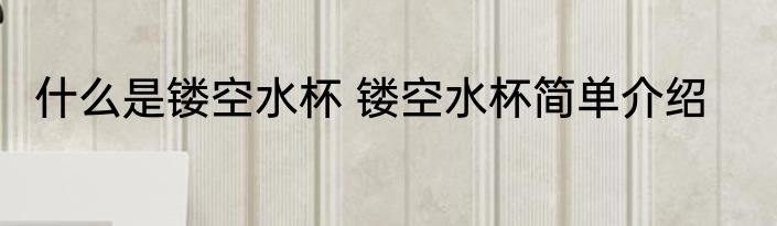 什么是镂空水杯 镂空水杯简单介绍