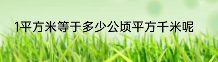 1平方米等于多少公顷平方千米呢
