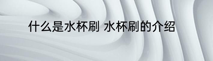 什么是水杯刷 水杯刷的介绍