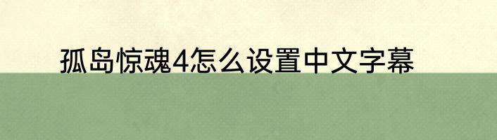 孤岛惊魂4怎么设置中文字幕