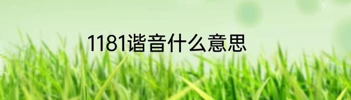 1181谐音什么意思