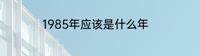 1985年应该是什么年