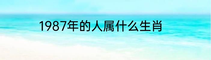 1987年的人属什么生肖