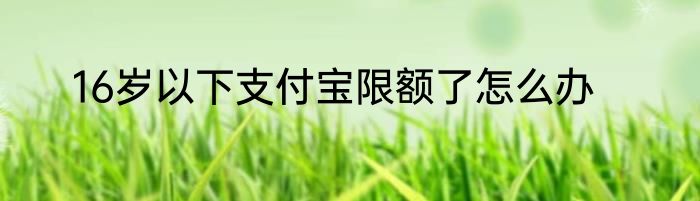 16岁以下支付宝限额了怎么办