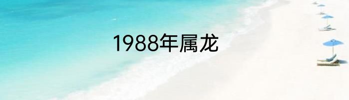 1988年属龙