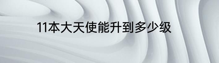 11本大天使能升到多少级