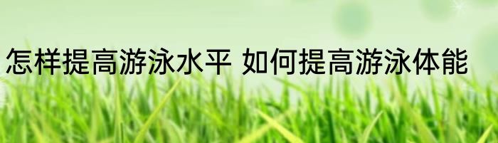 怎样提高游泳水平 如何提高游泳体能
