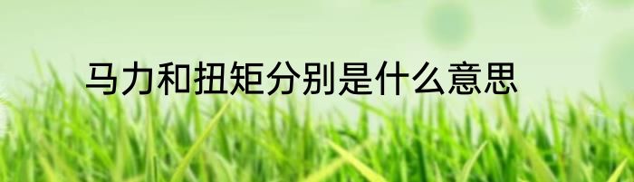 马力和扭矩分别是什么意思