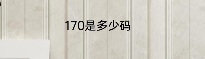 170是多少码