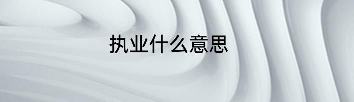 执业什么意思