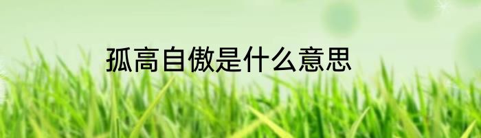 孤高自傲是什么意思