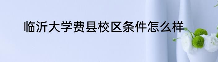 临沂大学费县校区条件怎么样