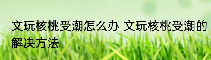 文玩核桃受潮怎么办 文玩核桃受潮的解决方法