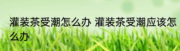 灌装茶受潮怎么办 灌装茶受潮应该怎么办