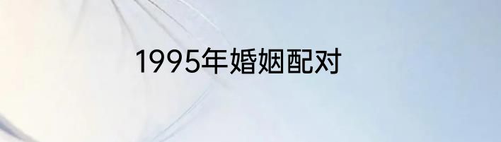 1995年婚姻配对