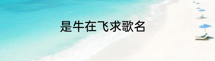 是牛在飞求歌名