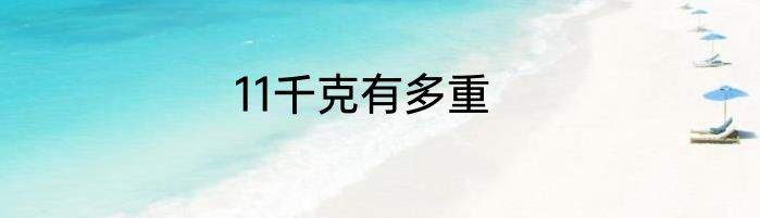 11千克有多重
