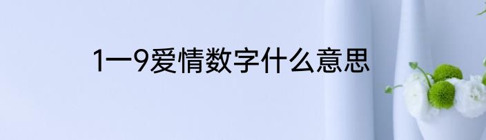 1一9爱情数字什么意思