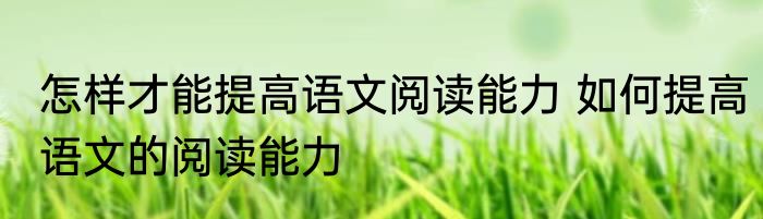 怎样才能提高语文阅读能力 如何提高语文的阅读能力
