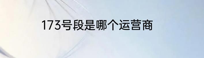 173号段是哪个运营商