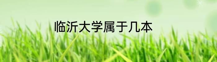 临沂大学属于几本