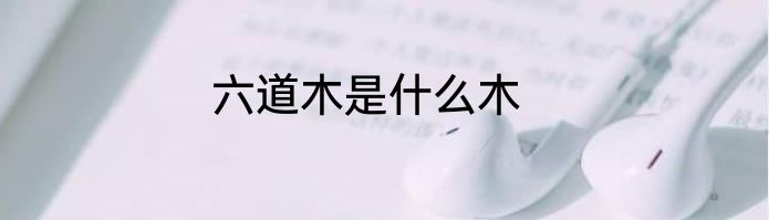 六道木是什么木