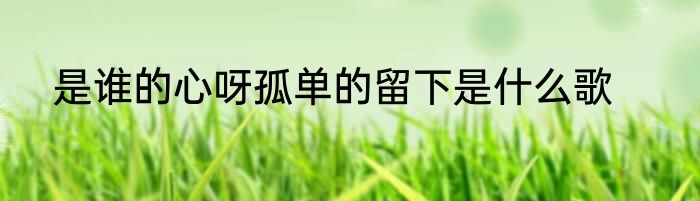 是谁的心呀孤单的留下是什么歌