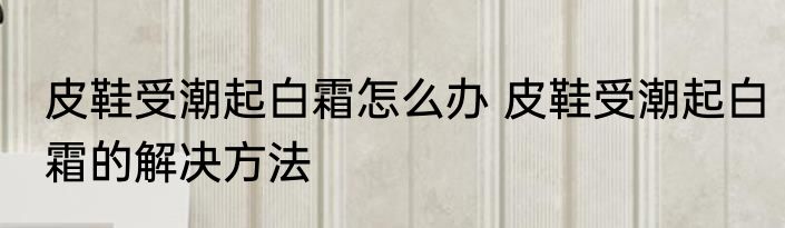 皮鞋受潮起白霜怎么办 皮鞋受潮起白霜的解决方法