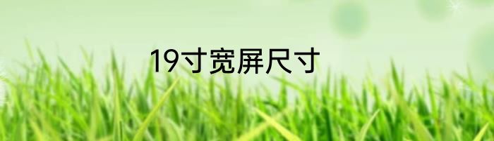 19寸宽屏尺寸