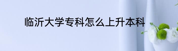 临沂大学专科怎么上升本科
