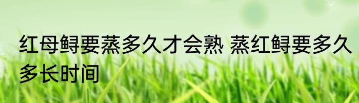 红母鲟要蒸多久才会熟 蒸红鲟要多久多长时间