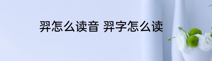 羿怎么读音 羿字怎么读