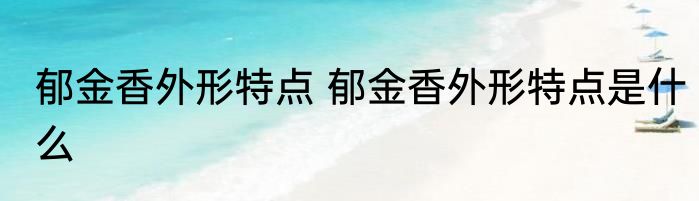 郁金香外形特点 郁金香外形特点是什么