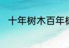 十年树木百年树人的树是什么意思