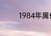 1984年属什么生肖什么命