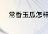 常香玉瓜怎样选 常香玉瓜的选择