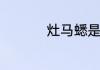 灶马蟋是害虫还是益虫