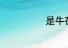 是牛在飞求歌名