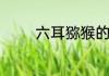 六耳猕猴的真实身份是什么