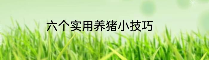 六个实用养猪小技巧