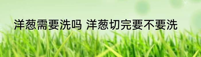 洋葱需要洗吗 洋葱切完要不要洗