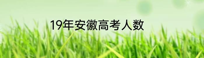 19年安徽高考人数