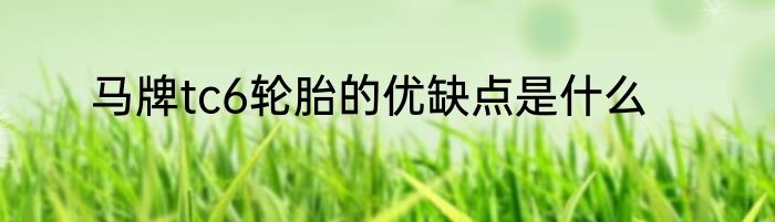 马牌tc6轮胎的优缺点是什么