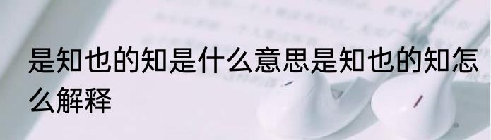 是知也的知是什么意思是知也的知怎么解释