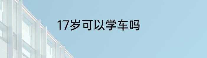 17岁可以学车吗