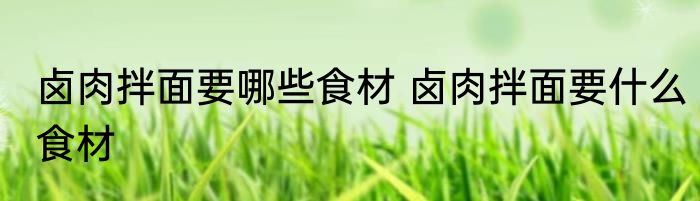 卤肉拌面要哪些食材 卤肉拌面要什么食材