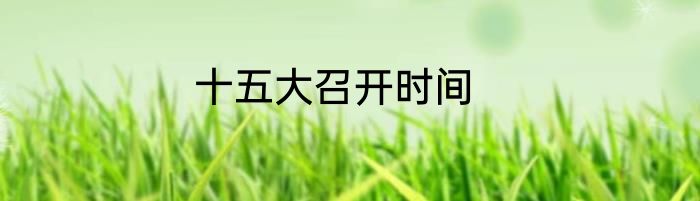 十五大召开时间