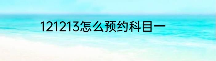 121213怎么预约科目一