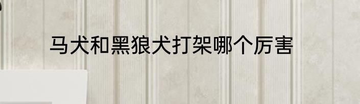 马犬和黑狼犬打架哪个厉害